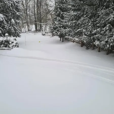 Parkblick Braunlage
